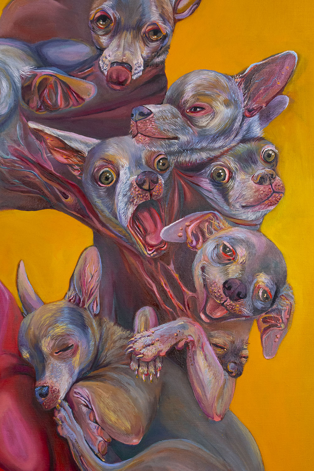 Mattie Wesoloski, Hydra-huahua (detail), Oil on panel, 30 in. x 20 in., 2020.