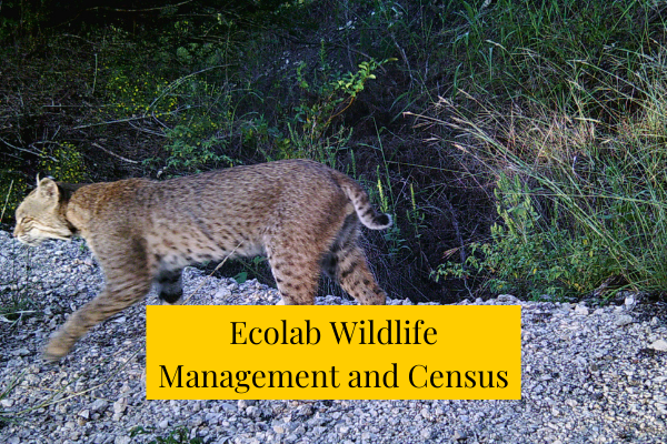 Ecolab Wildlife Management