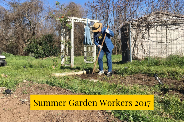 Summer Garden Workers