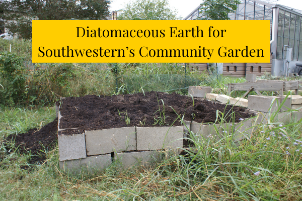 Diatomaceous Earth