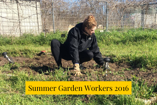 Summer Garden Workers