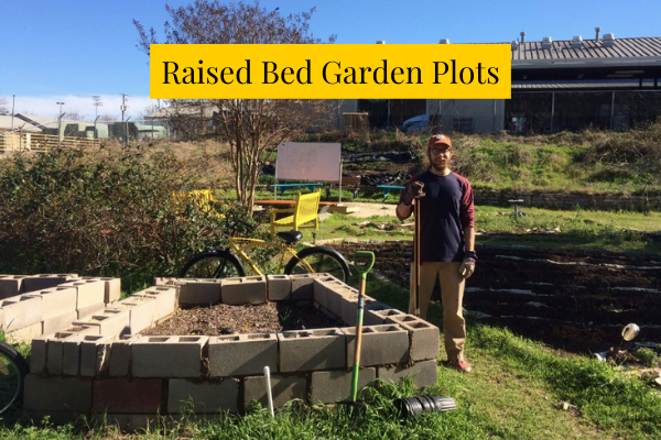 Raised Beds