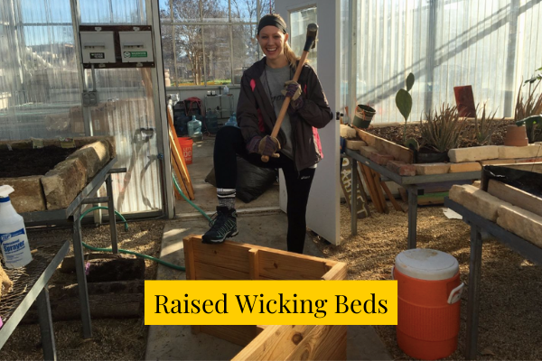 Raised Wicking Beds
