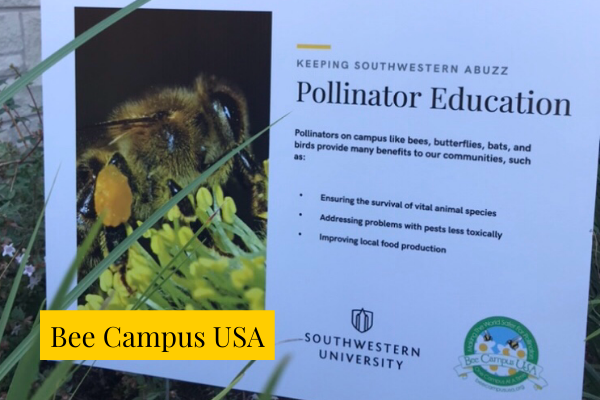 Bee Campus USA