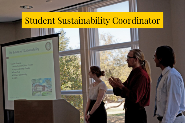 Student Sustainability Coordinator temp