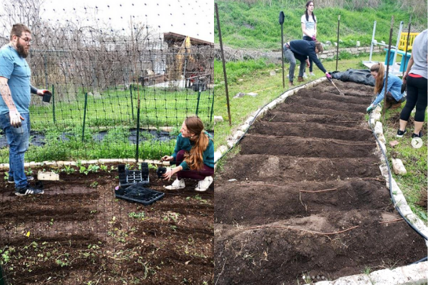 Garden Work Days