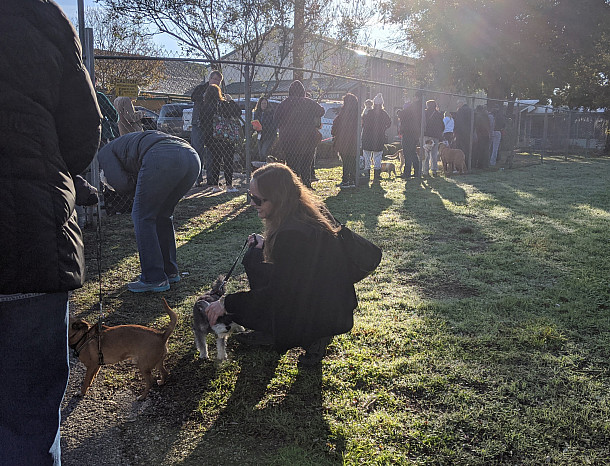 Citizens of Georgetown, TX with their pets at the Georgetown Animal Shelter's low-cost shot clinic on November 18, 2019