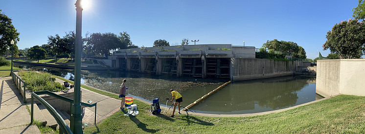 Biology majors sampling environmental DNA in search of non-native apple snails in San Antonio.