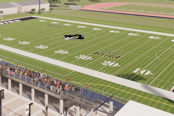 Stadium Rendering
