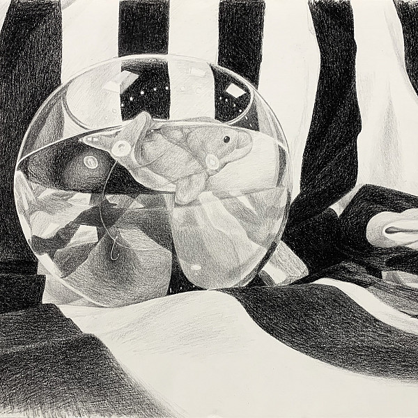 Brady Williamson, Untitled, Charcoal and Graphite, Drawing I, Instructor: Ron Geibel