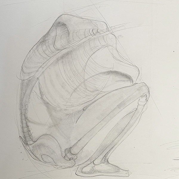 Mattie Mintline-Wisniewski, Drawing II remote, Instructor: Victoria Star Varner