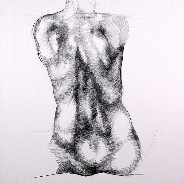 Ana Olvera, Back Drawing, Charcoal, Drawing III, Instructor: Victoria Star Varner