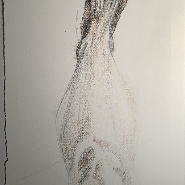 Julia Canfield, Study of foot, colored pencil on paper, 12 x 10, 2020, Drawing III remote, Instructor: Victoria Star Varner