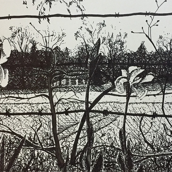 Anna Teekell, Untitled, Ink, 9 x12," Drawing I, Instructor: Pehr Smith