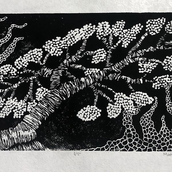 Mattie Wesoloski, Annihilation, Woodcut, 6.5 x 11.5, Printmaking, Instructor: Seth Daulton