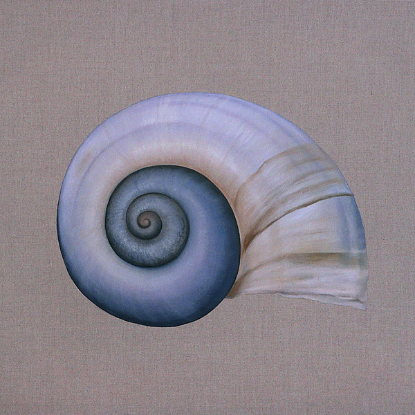 Lauren Muskara, Pomacea maculata, Oil and copper sulfate pentahydrate on linen, 47 x 47," Intermedia Capstone, Instructor: Victoria Star Varner