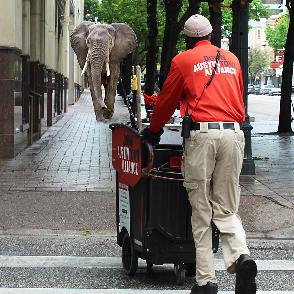 Hanna Sanderson, Elephant Added In City, Digital Photography, Instructor: Mary Visser