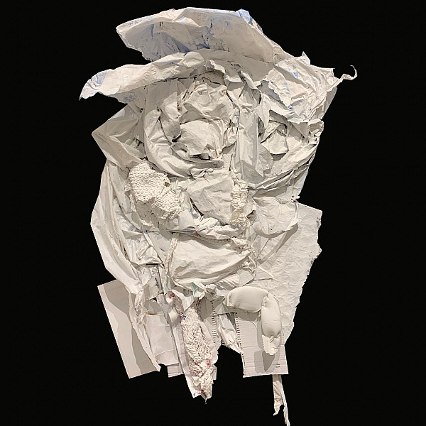 Miriam Arzoumanian, Premature delivery Stillbirth hydrops fetalis associated with skeletal anomalies, Mixed Media, Intermedia Capstone, Victoria Star Varner