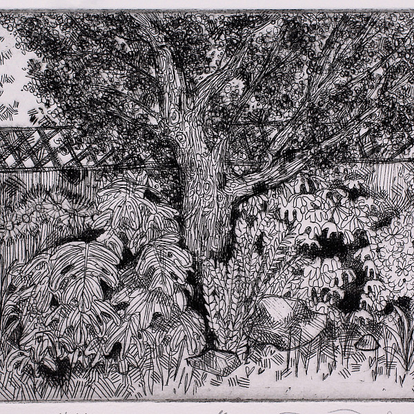 Rebecca Butterworth, Home, Etching, Printmaking, Seth Daulton