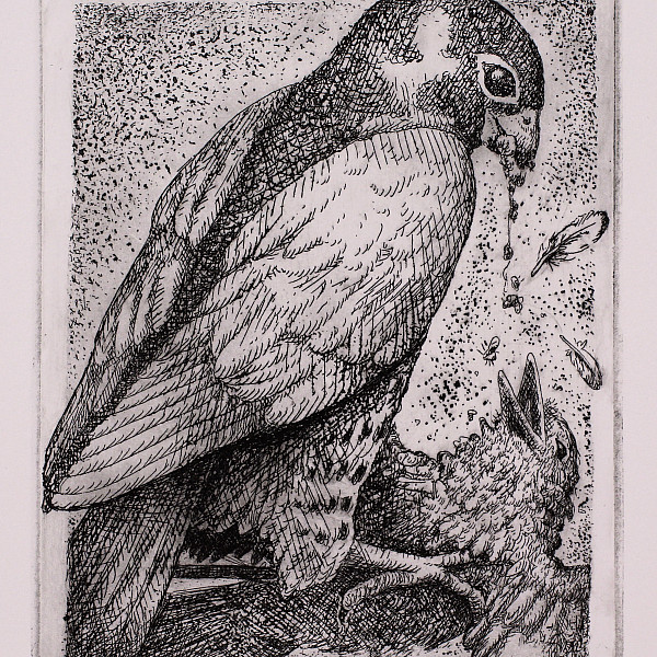 Brady Williamson, Untitled, Etching, Printmaking, Seth Daulton