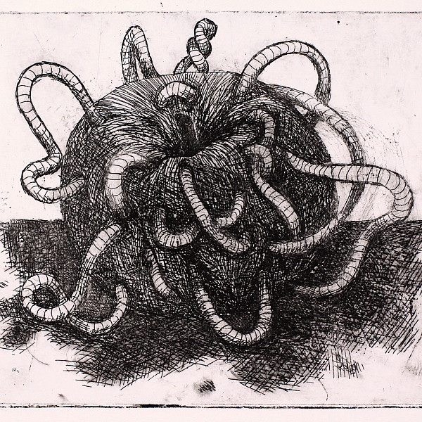 Brady Williamson, An Apple A Day, Etching, Printmaking, Seth Daulton