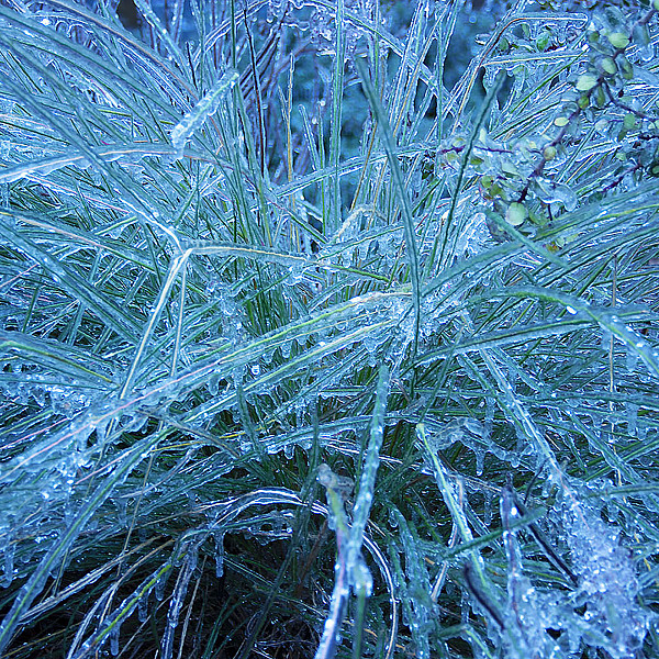 Alex Bell, Blue Ice, Digital Print, Digital Photography, Mary Visser