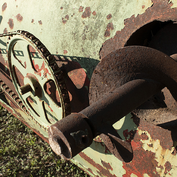 Ila Dannelley, untitled, Digital print, Digital Photography, Mary Visser