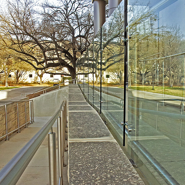 Kaley White, Tree Reflection, Digital print, Digital Photography, Mary Visser