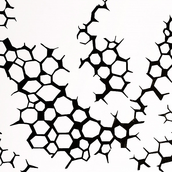 Julia Canfield, Untitled, Cut Paper, Design, Ron Geibel