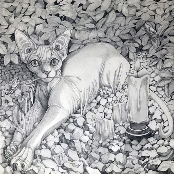 Ava Drew, Metaphorical Self Portrait, Graphite, Drawing 1, Ron Geibel
