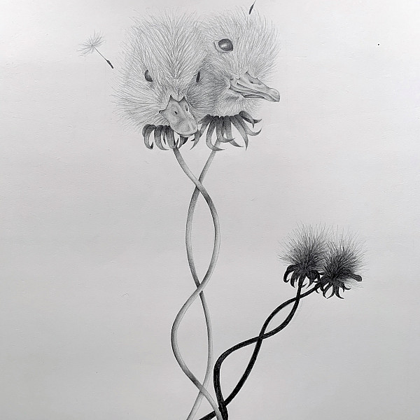 Paige Evans, Biomorphic Form, Graphite, Drawing 1, Ron Geibel