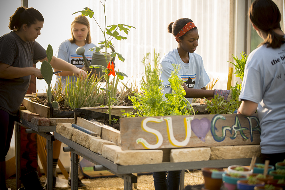 Sustainability begins with SU