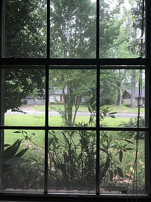 View from Anonymous' window. 