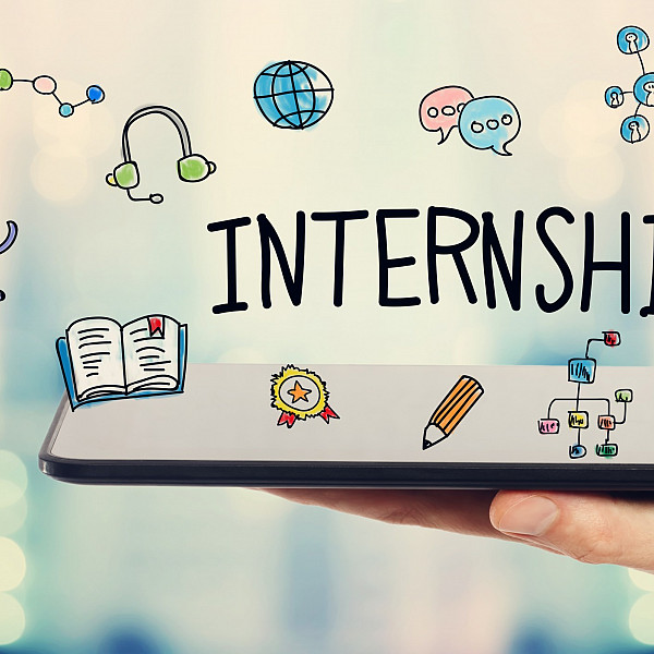 Internships in the virtual world