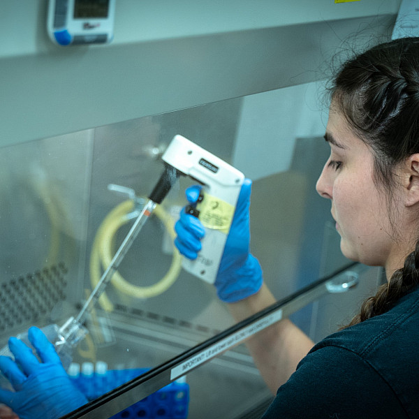 Shi Solis ’20, one of Todd’s current research assistants, can attest that her mentor has been a delight to work with.