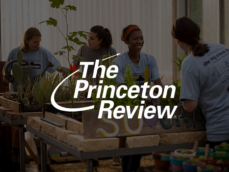 The Princeton Review