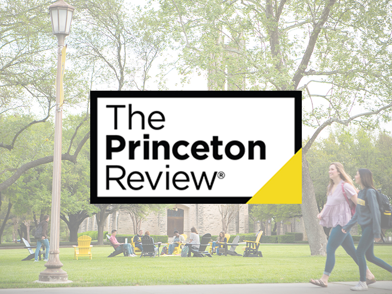 The Princeton Review