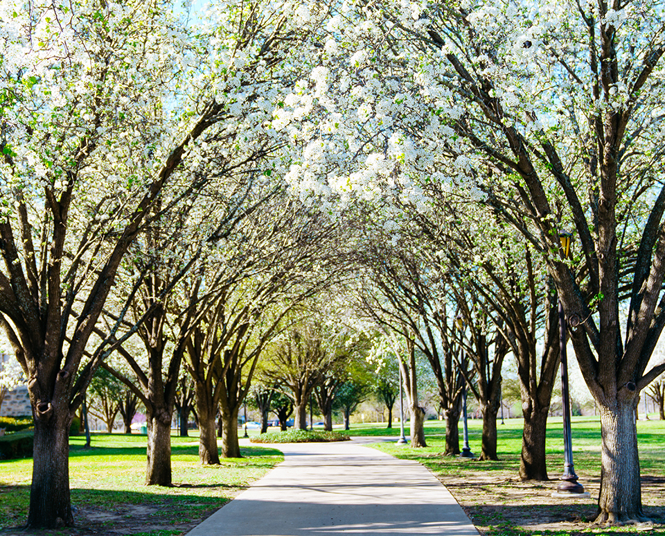 Southwestern University