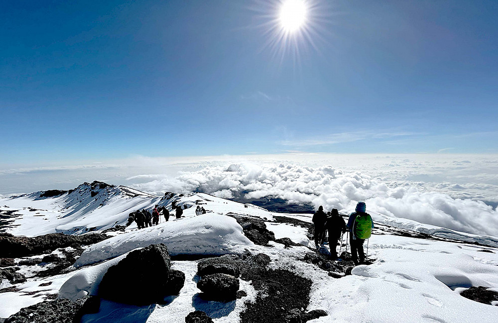 Southwestern students atop Mount Kilimanjaro