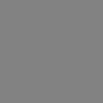 color slategray