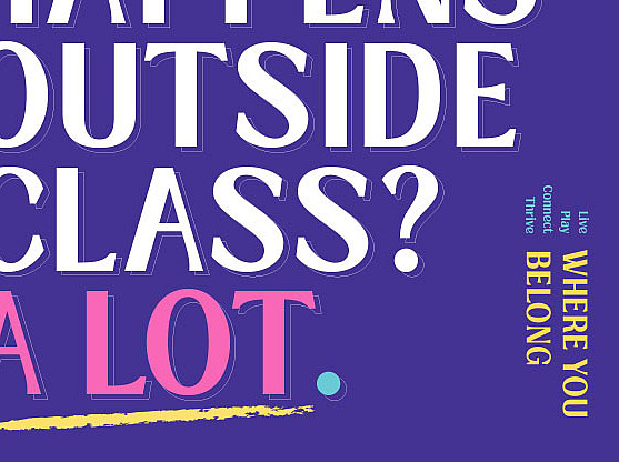 Where You Belong Campaign Branding & Marketing Materials