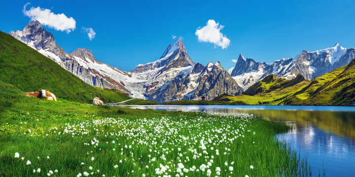 SU Switzerland Faculty-Led Program
