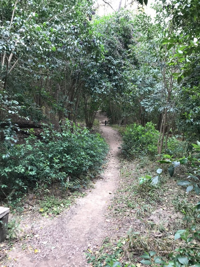 Hiking